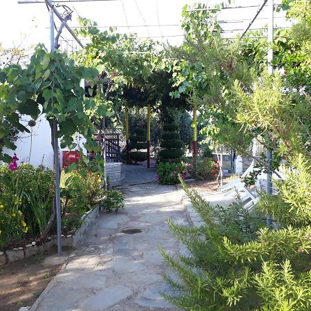 Studio Zoi Villa Aliki  Exterior photo
